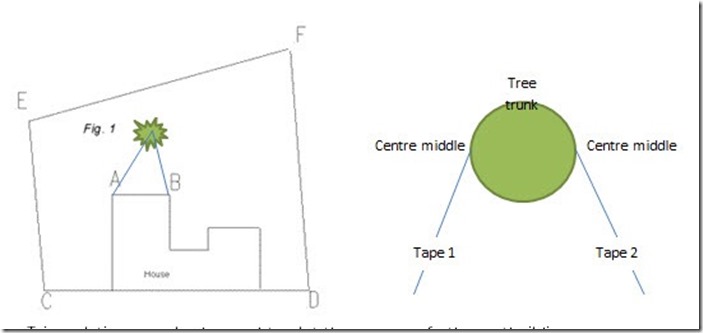 How to Measure A Garden: Triangulation