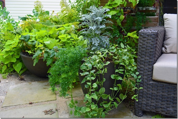 Container Gardens Front Patio