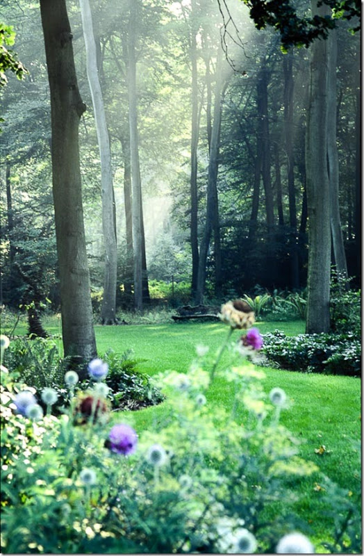 Garden Design Courses Garden And Flower Design