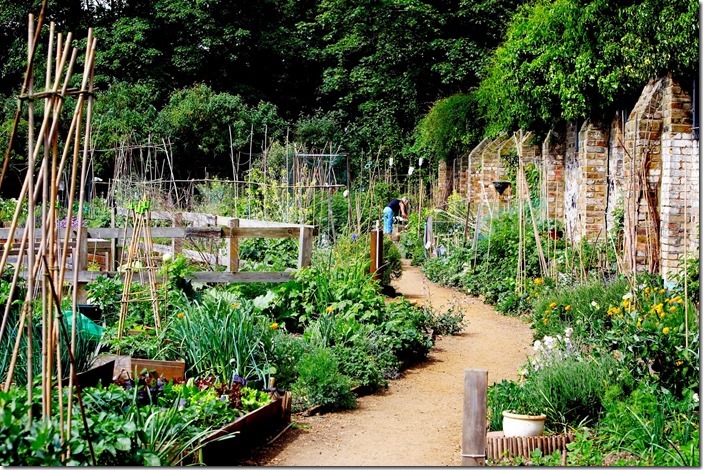 King Henry's Walk Garden N1 (veg garden) © Open Garden Squares Weekend