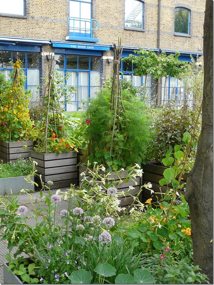 The River Cafe W6 © Diana Jarvis Open Garden Squares Weekend