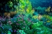 How to Become a Garden Designer:  What’s Involved and How to Get Started